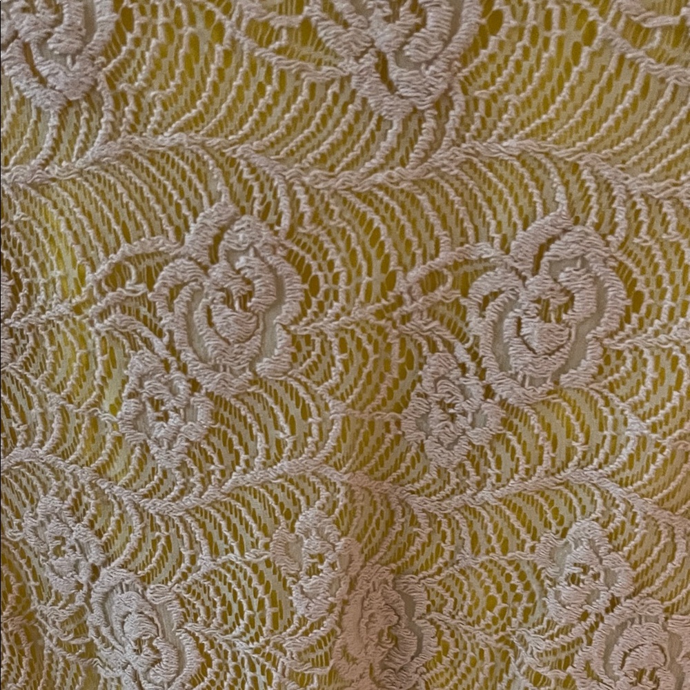 Uncle Frank Yellow Dress with Cream Lace Overlay - Picture 4 of 7